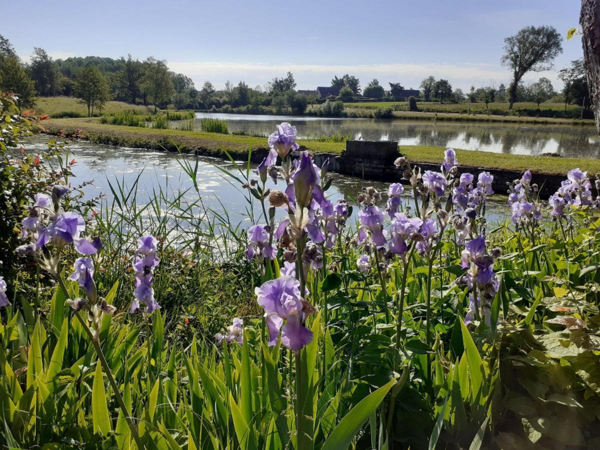 Villa L'Epicurienne Simandre Esterno foto